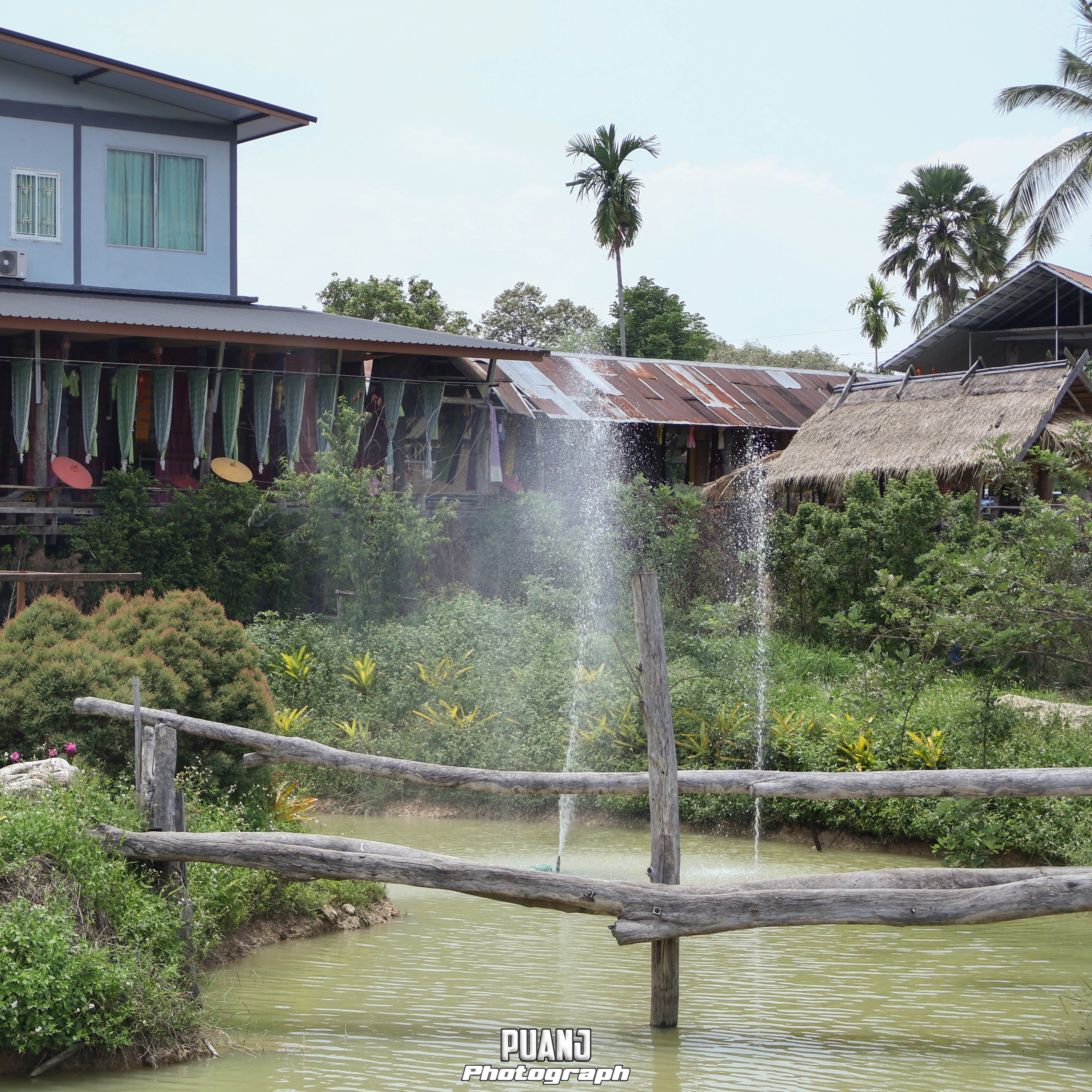กาแฟบ้านไทลื้อ Ban Tai Lue Cafe ภาพที่ 4