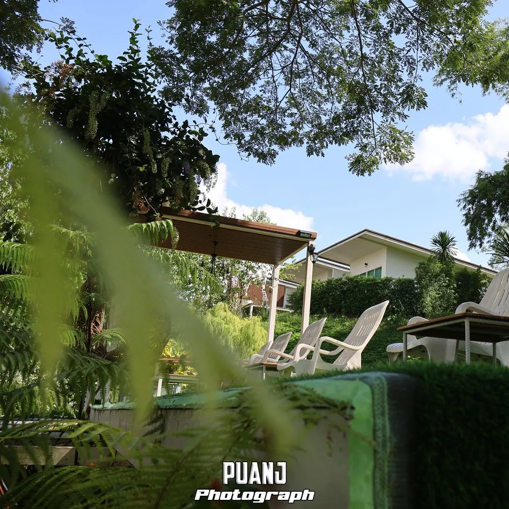 ฉำฉา คาเฟ่ Chamcha Cafe ภาพที่ 4