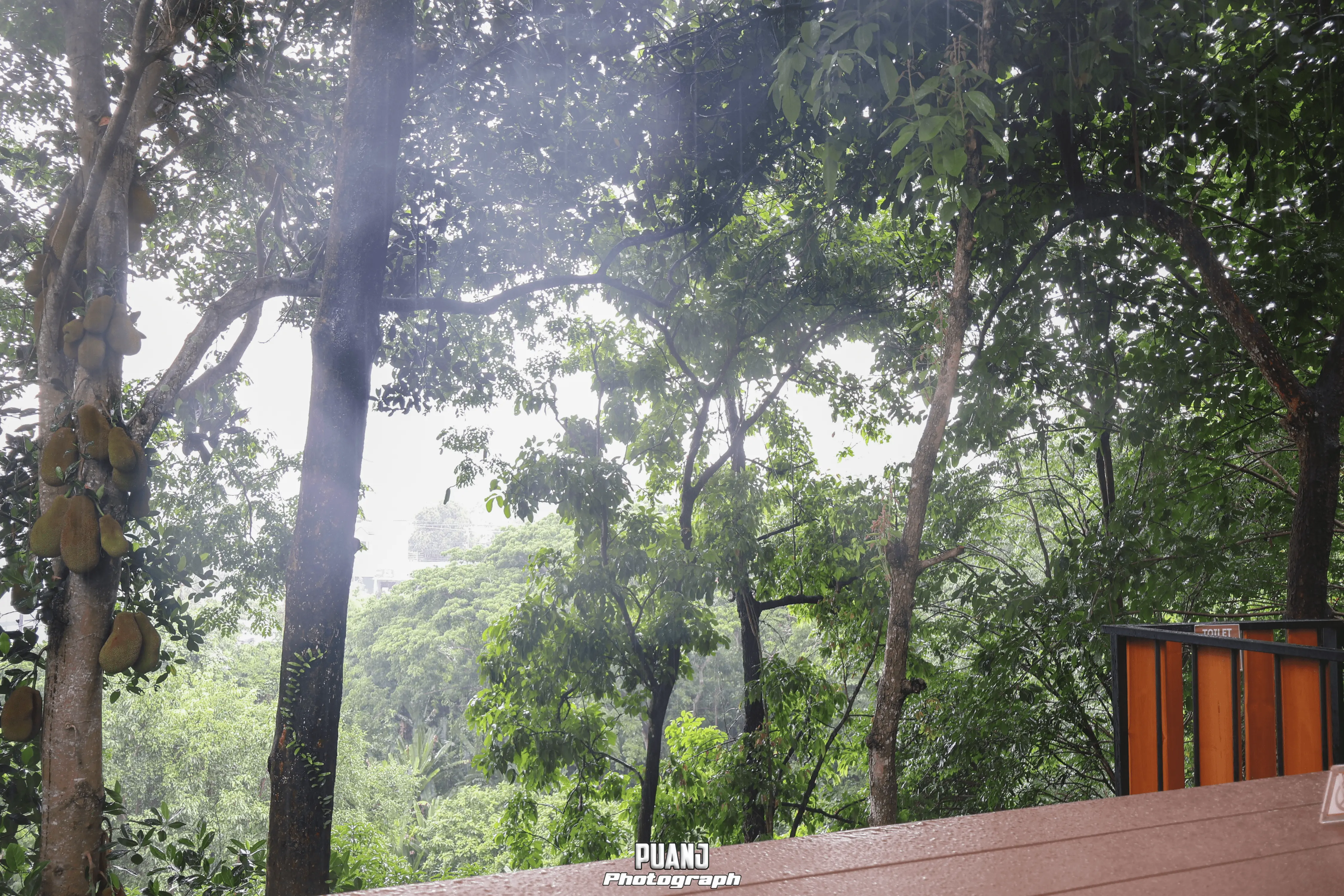 โกโก้วัลเล่ย์ คาเฟ่ CoCoa Valley Cafe ภาพที่ 3
