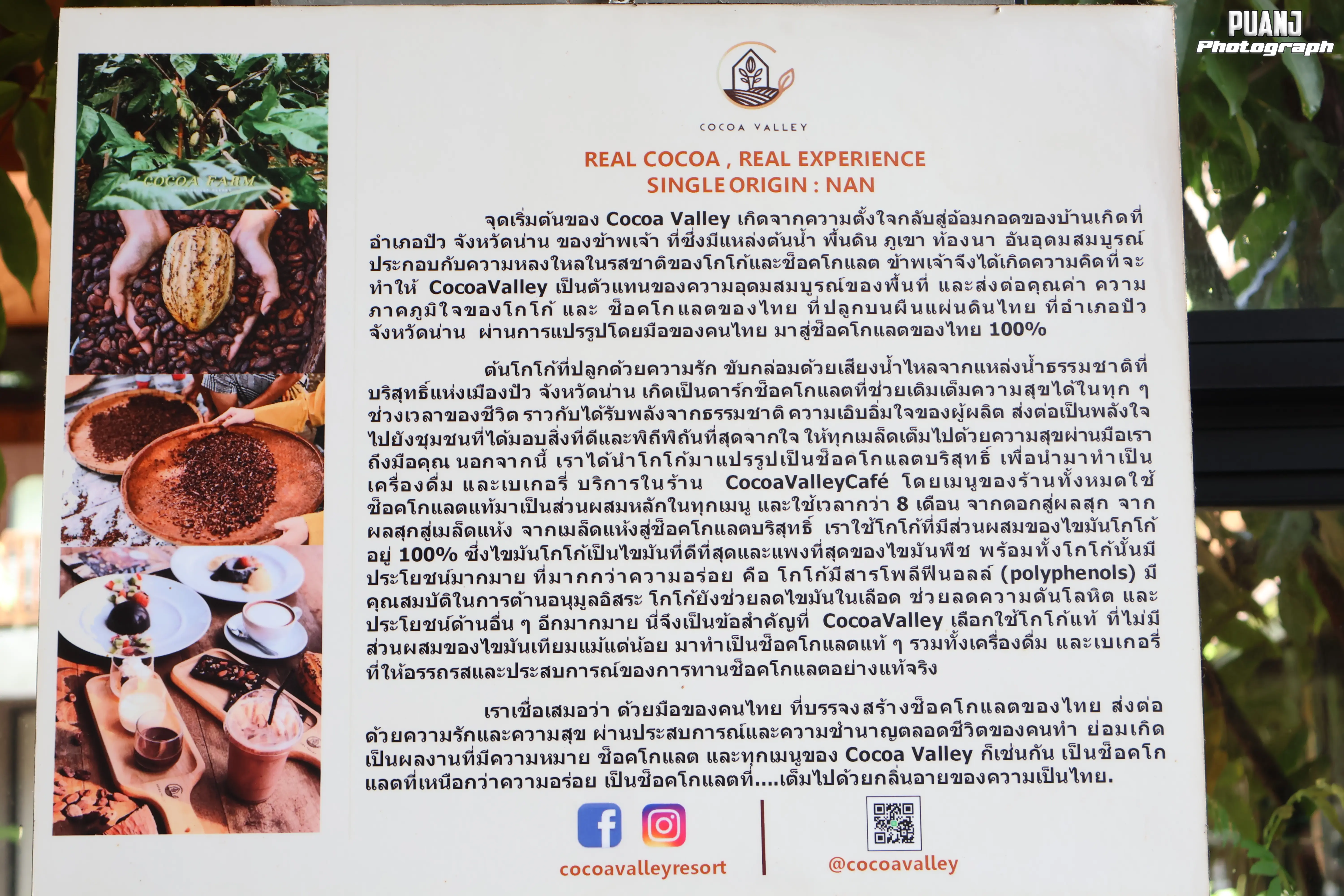 โกโก้วัลเล่ย์ คาเฟ่ CoCoa Valley Cafe ภาพที่ 8