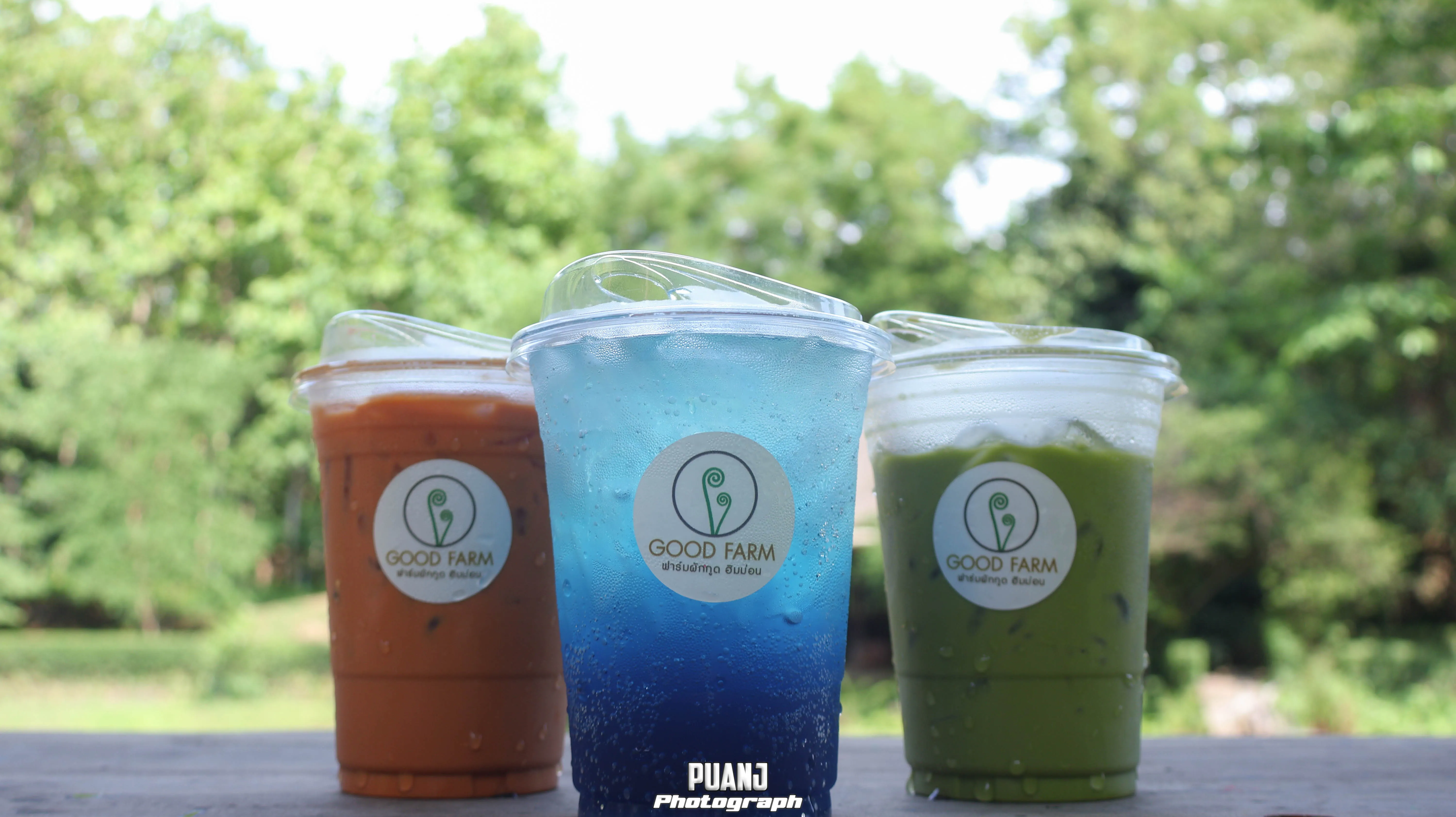 สวนผักกูดฮิมม่อน Good Farm ภาพที่ 2