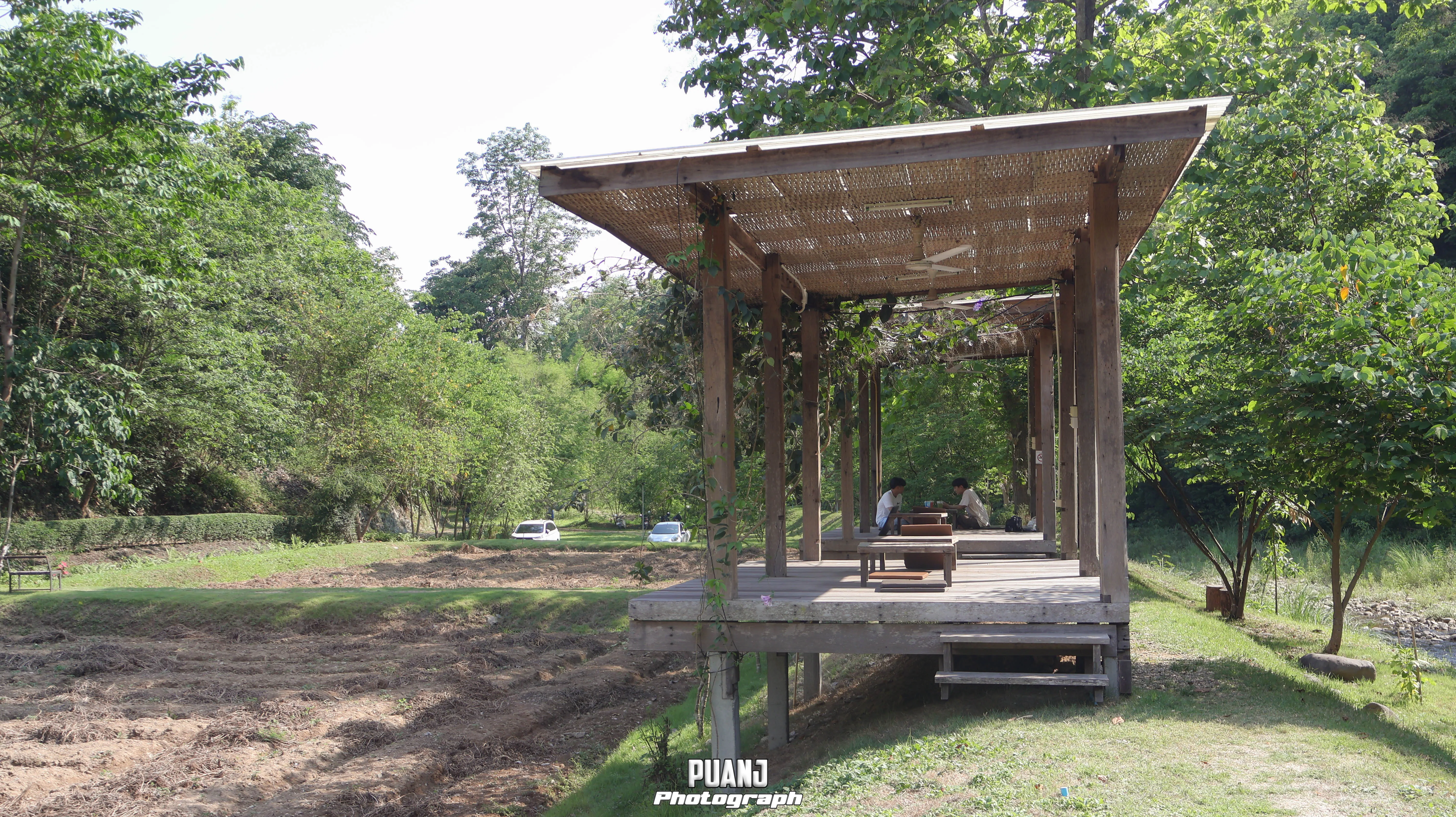 สวนผักกูดฮิมม่อน Good Farm ภาพที่ 3