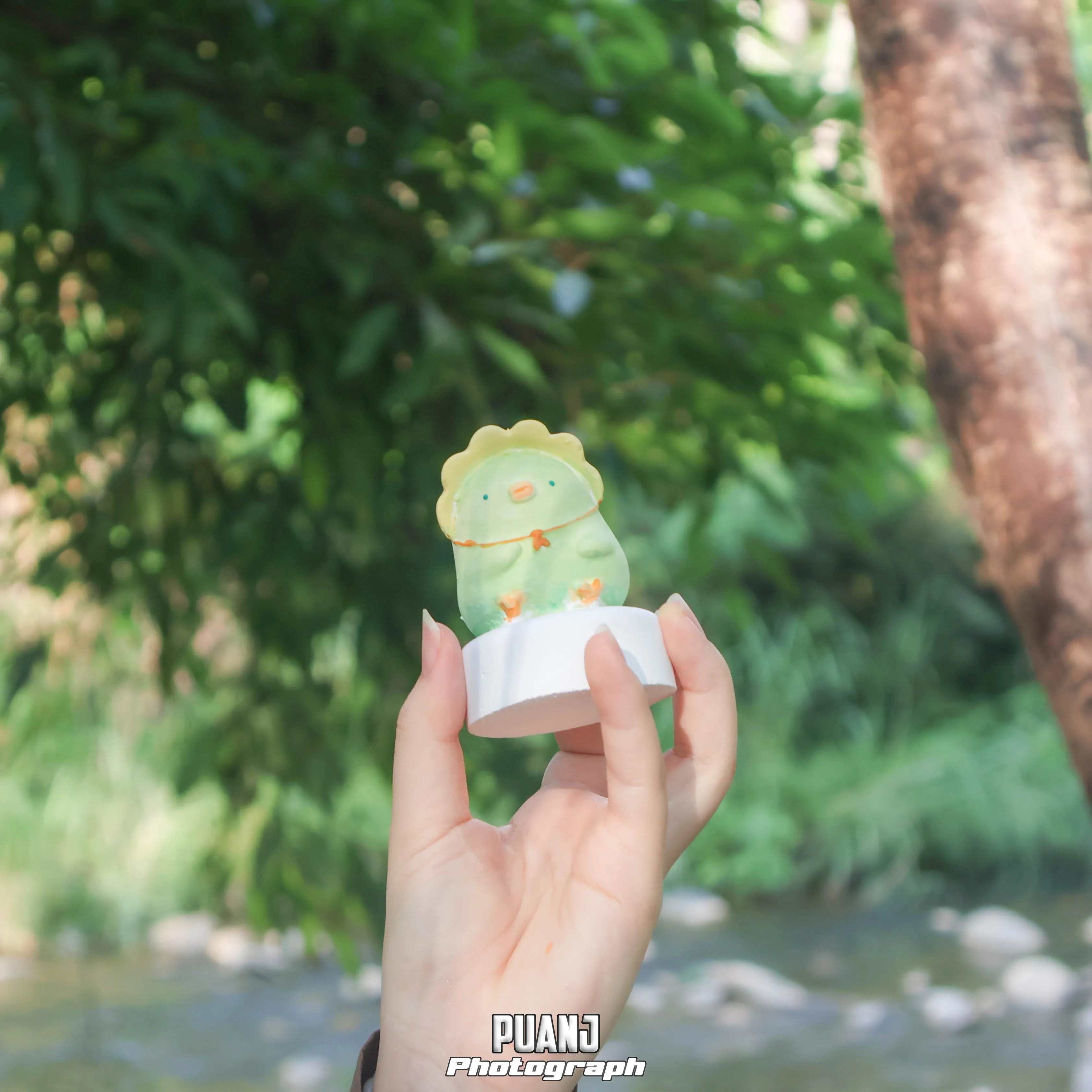 Good Farm สวนผักกูดฮิมม่อน