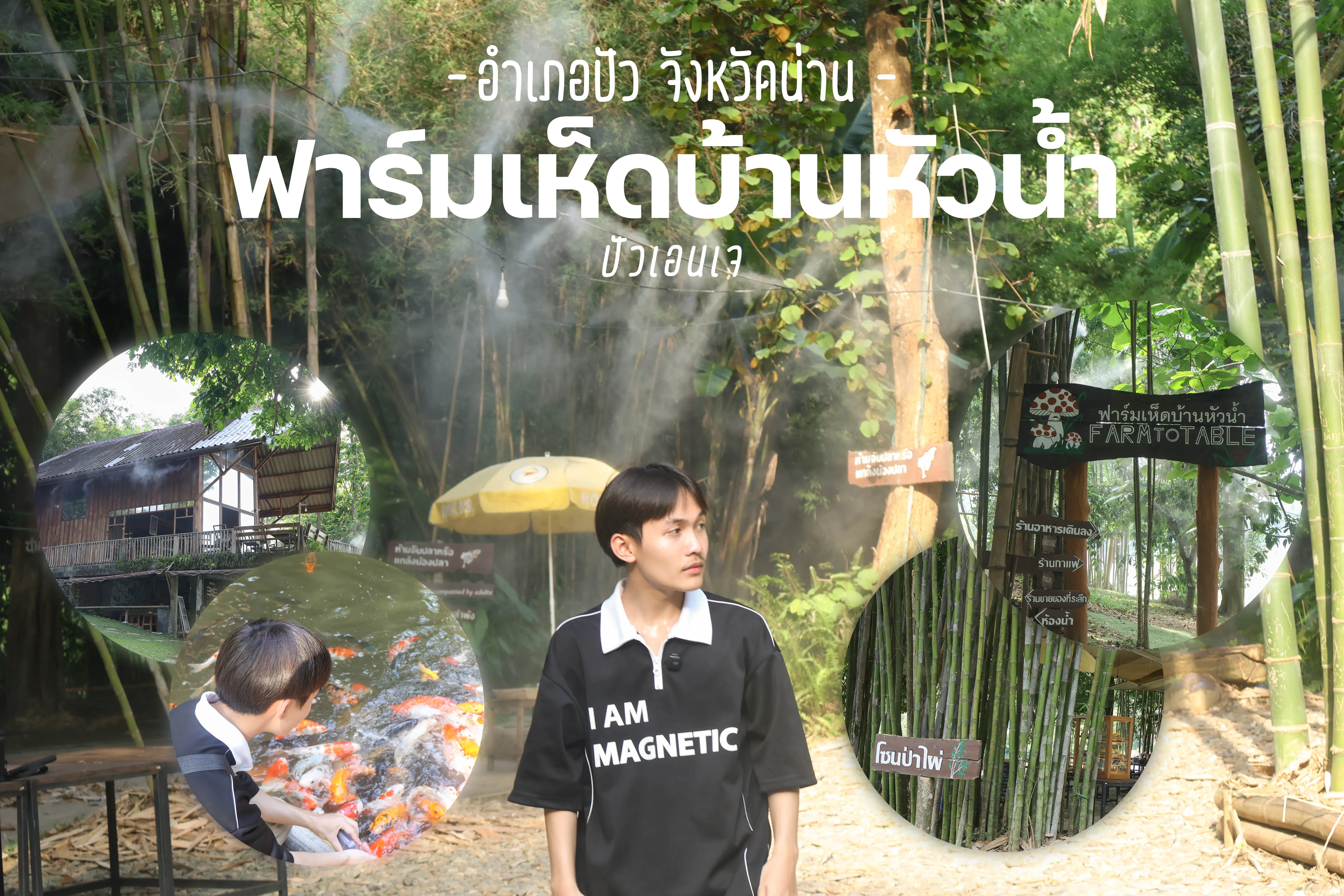 ฟาร์มเห็ดบ้านหัวน้ำ
