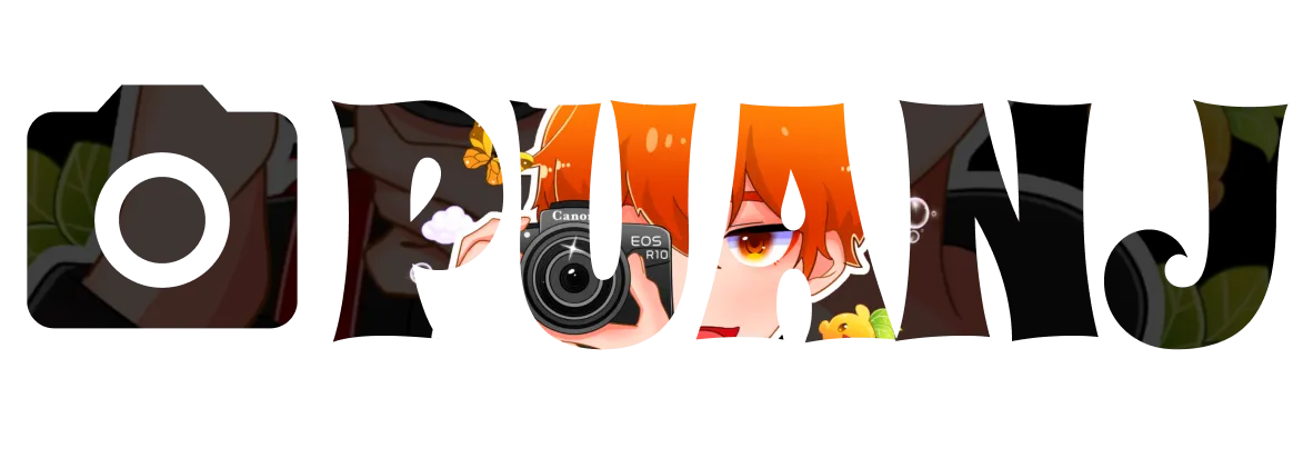 logo puanj โลโก้ ปัวเอนเจ